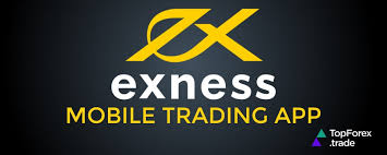 Discover the Power of Trading with Adroitness The Exness Web Platform