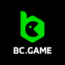 The Future of Gaming Exploring BC Game